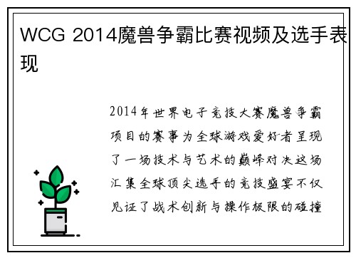 WCG 2014魔兽争霸比赛视频及选手表现
