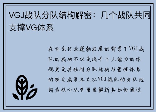 VGJ战队分队结构解密：几个战队共同支撑VG体系
